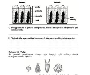 Matura 2013 biologia p. rozszerzony