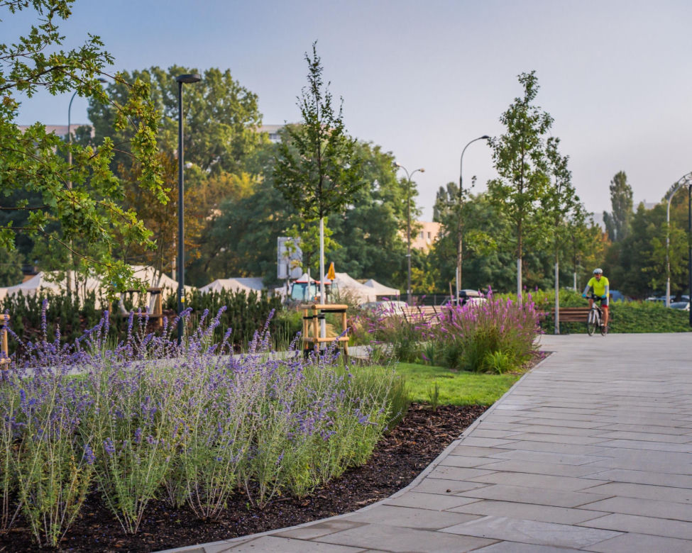 Park nad tunelem POW na Ursynowie - nowy odcinek otwarty na początku września 2025