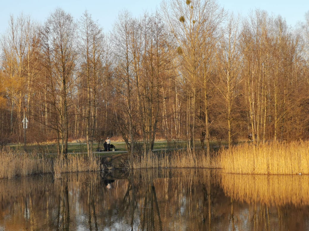 Sprytne! W Częstochowie fryzjerka strzygła klienta... na ławce w parku. Internauci zachwyceni [FOTO]