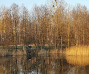 Sprytne! W Częstochowie fryzjerka strzygła klienta... na ławce w parku. Internauci zachwyceni [FOTO]
