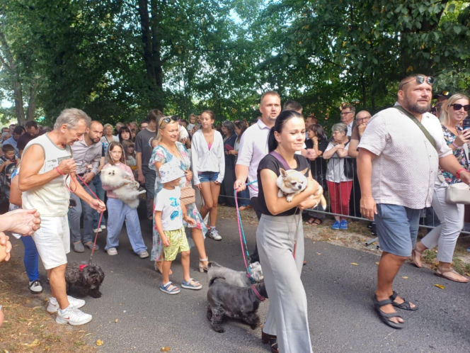 Święcenie zwierząt u św. Rocha 2026
