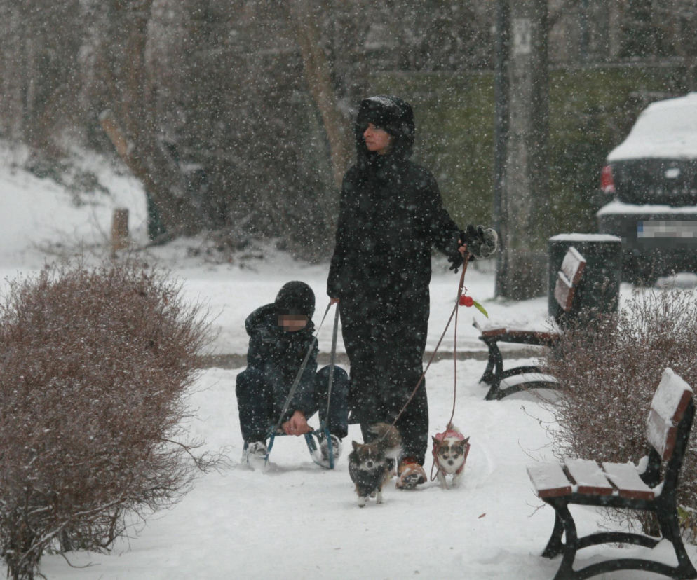 Marta Kaczyńska z synem i psami na sankach w lesie