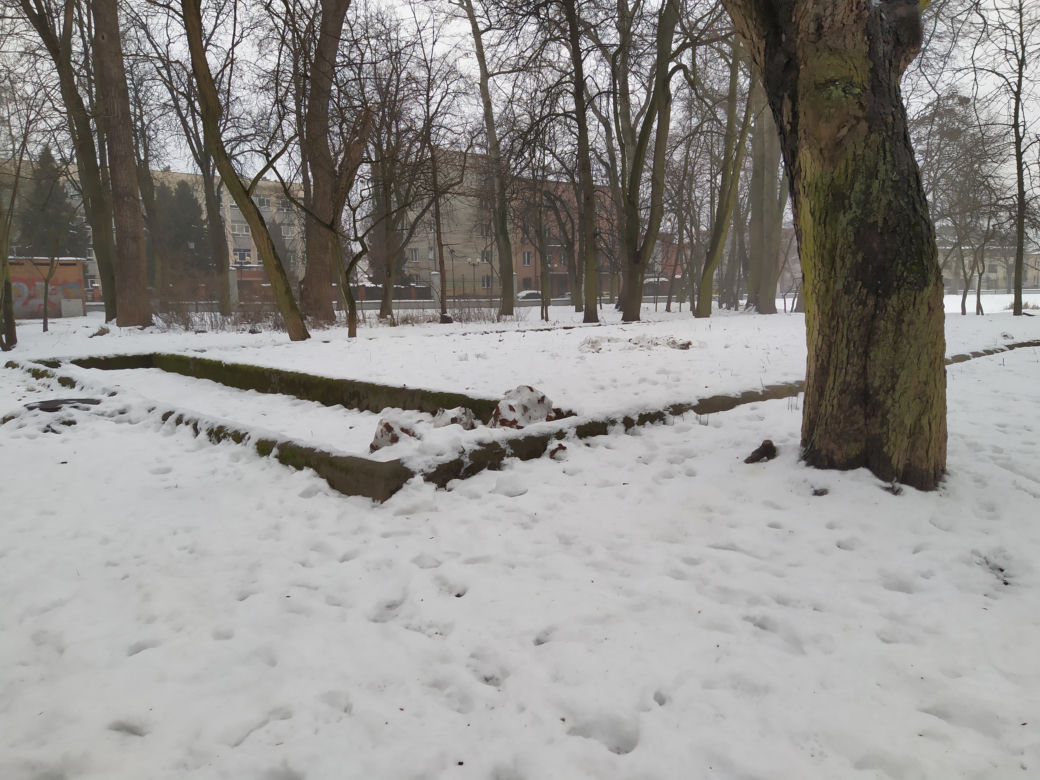 Gdzie mieścił się kiedyś letni teatr? Siedlecki park Aleksandria sto lat temu i w pierwszym tygodniu stycznia 2021: