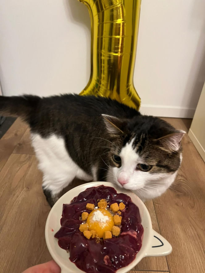 Panduś świętuje rocznicę nowego życia