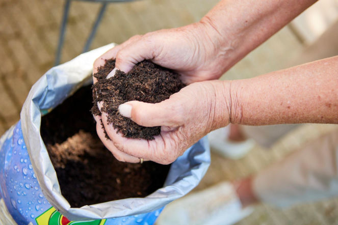 Podłoże do roślin