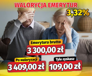 Fiszki waloryzacyjne