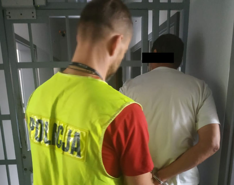 Plantacja konopi indyjskich zlikwidowana na Pomorzu! [ZDJĘCIA]