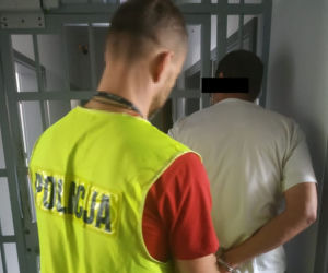 Plantacja konopi indyjskich zlikwidowana na Pomorzu! [ZDJĘCIA]