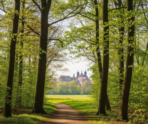 Mazowsze na jeden dzień. Gdzie uciec z Warszawy wiosną?