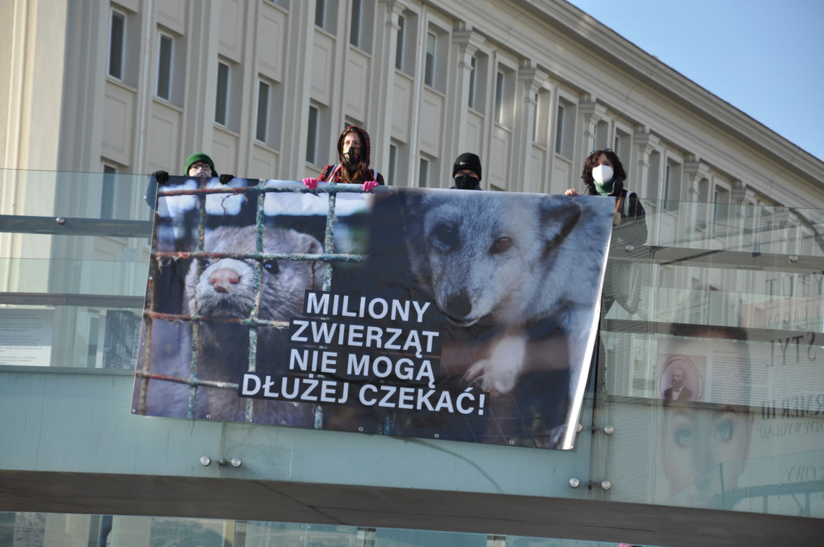 Dzień Bez Futra w Rzeszowie. Aktywiści wywiesili baner na ogrągłej kładce