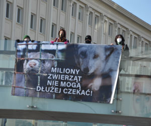 Dzień Bez Futra w Rzeszowie. Aktywiści wywiesili baner na ogrągłej kładce