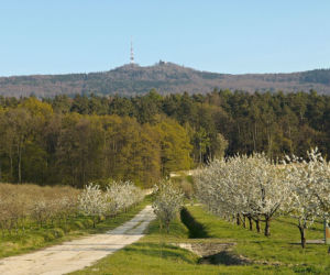 Ślęża