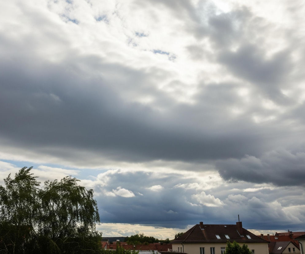 Pochmurne niebo dominuje nad widokiem na dachy budynków i drzewa. Górna część obrazu wypełniona jest ciężkimi, ciemnoszarymi chmurami, z jaśniejszymi fragmentami, przez które przebija się światło słoneczne, tworząc kontrast. Poniżej, w dolnej części, widoczne są brązowe, spadziste dachy domów z cegły oraz wierzchołki zielonych drzew, z pojedynczym, rozłożystym drzewem widocznym po lewej stronie. W tle, na horyzoncie, rysuje się ciemna linia odległych drzew i zabudowań.