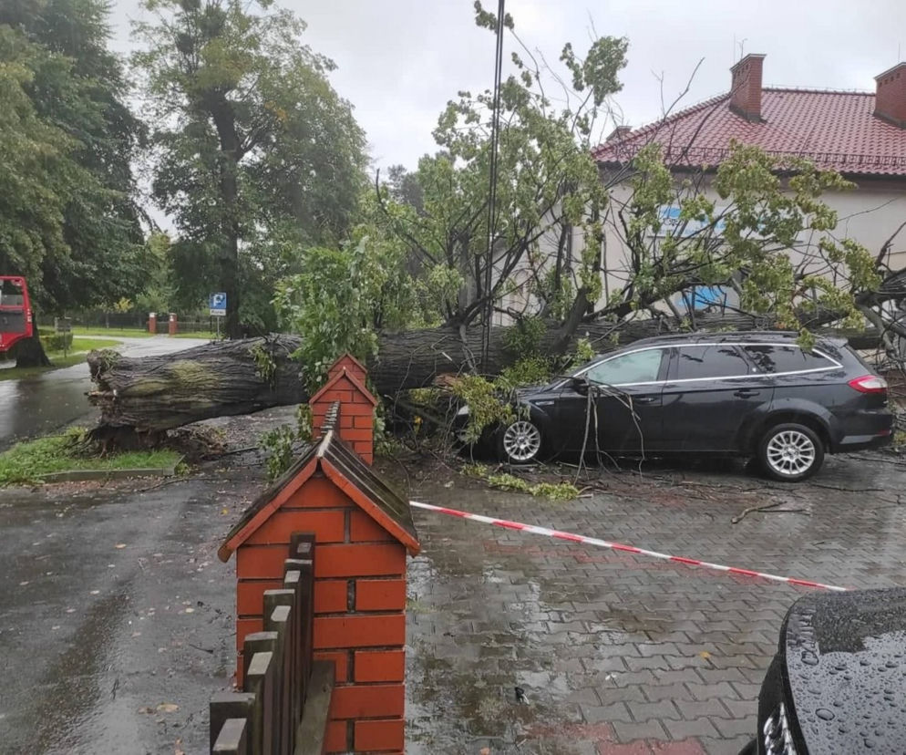 Drzewo spadło na samochód