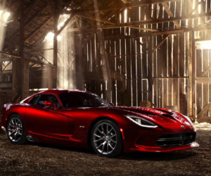 NOWY Viper 2013