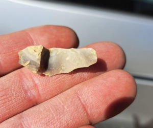 Znaleziska archeologiczne we Wschowie