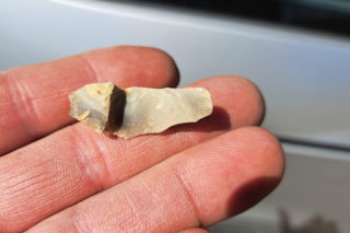 Znaleziska archeologiczne we Wschowie