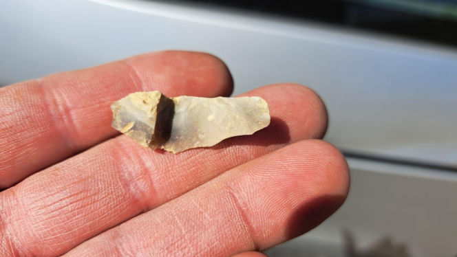 Znaleziska archeologiczne we Wschowie