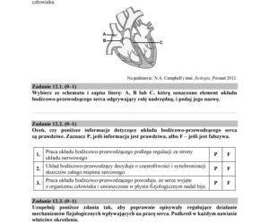 Matura 2018 z biologii. Poziom rozszerzony - arkusze CKE