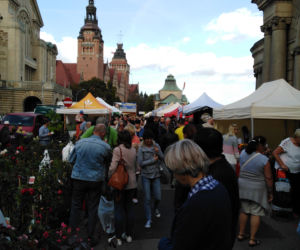Kiermasz ogrodniczy Pamiętajcie o ogrodach w Szczecinie