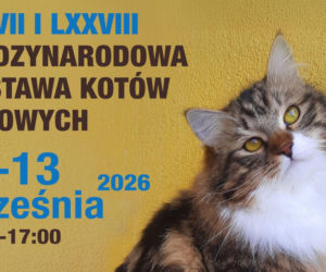 Międzynarodowa Wystawa Kotów Rasowych w Łomiankach. Będzie ich całe mnóstwo!
