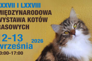 Międzynarodowa Wystawa Kotów Rasowych w Łomiankach. Będzie ich całe mnóstwo!