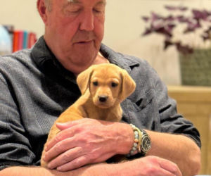 Jeremy Clarkson