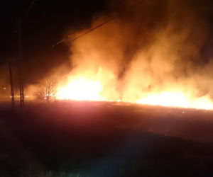 Mieszkańcy Podkarpacia masowo wypalają trawy