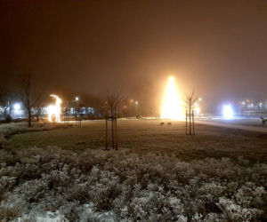 Ze szronem są jeszcze piękniejsze! Świąteczne iluminacje w Łomży