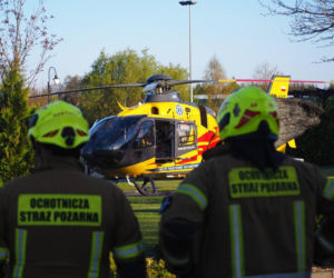 Koń przygniótł nastolatkę