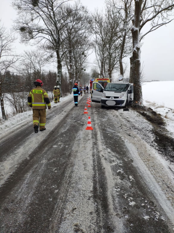 Bus uderzył w drzewo. Na szczęście podróżującym nic się nie stało [ZDJĘCIA]