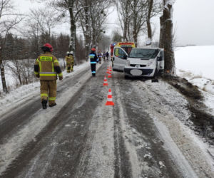 Bus uderzył w drzewo. Na szczęście podróżującym nic się nie stało [ZDJĘCIA]