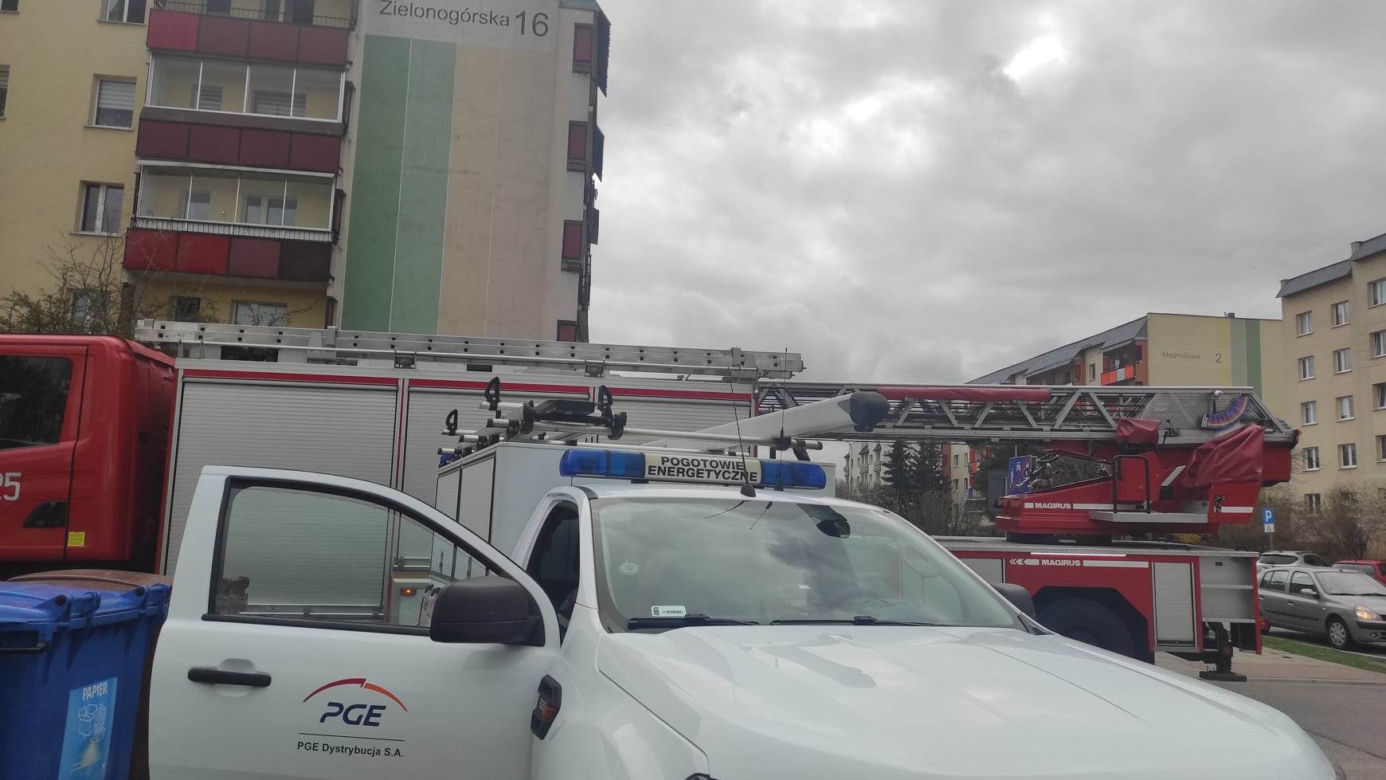 Straż pożarna na Zielonych Wzgórzach. Przypalony garnek zaalarmował służby