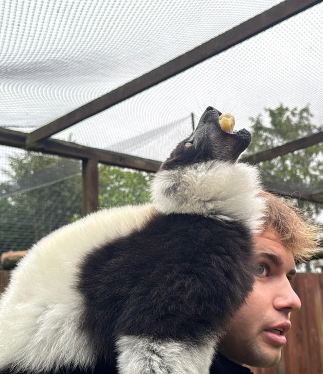 W zoo pod Lublinem urodził się lemur
