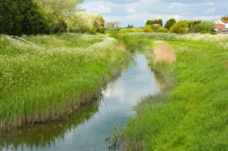 Położona tuż przy granicy z Białorusią stanowi bramę do innego świata. Zaskoczy każdego!