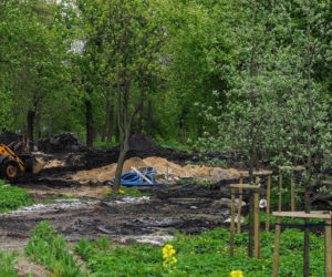 Park Ludowy pięknieje z dnia na dzień. To naprawdę robi wrażenie