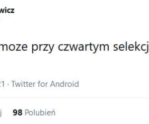 Reakcja internautów na powołania Sousy