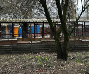 Zabrali dzieciom psa jak rzecz