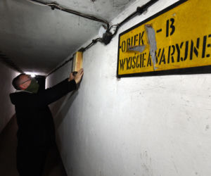 Świnoujście: Budki dla nietoperzy