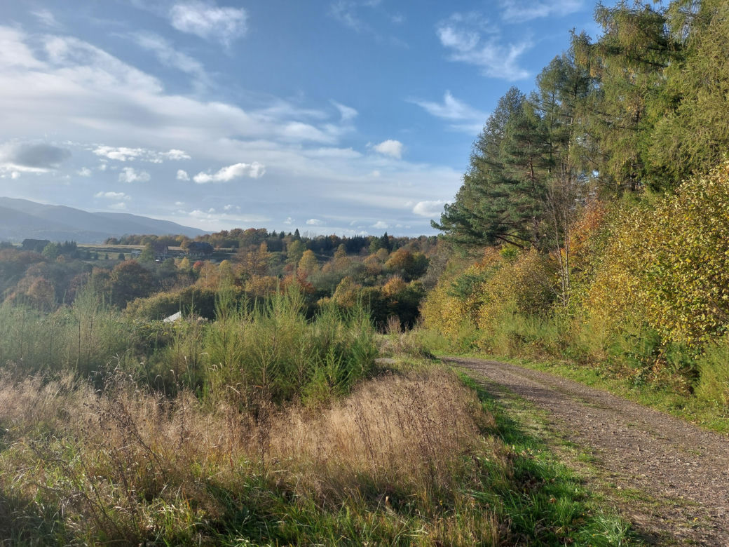 Gdzie pierwszy raz w Bieszczady?