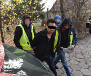 Gwiazdor Hollywood  pobił policję