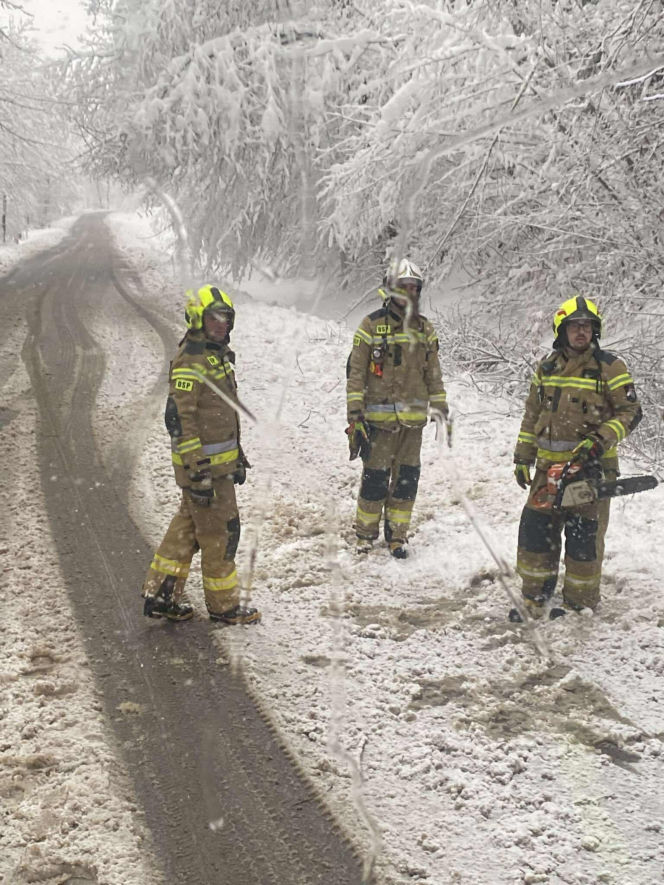 Podkarpacie pod śniegiem. Tysiące domów bez prądu, drogi sparaliżowane. Sprawdź, co dzieje się w regionie!