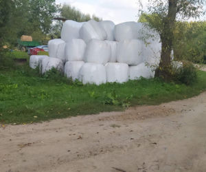 Marek konał w samotności na polu. To była straszna śmierć. Osierocił córeczkę