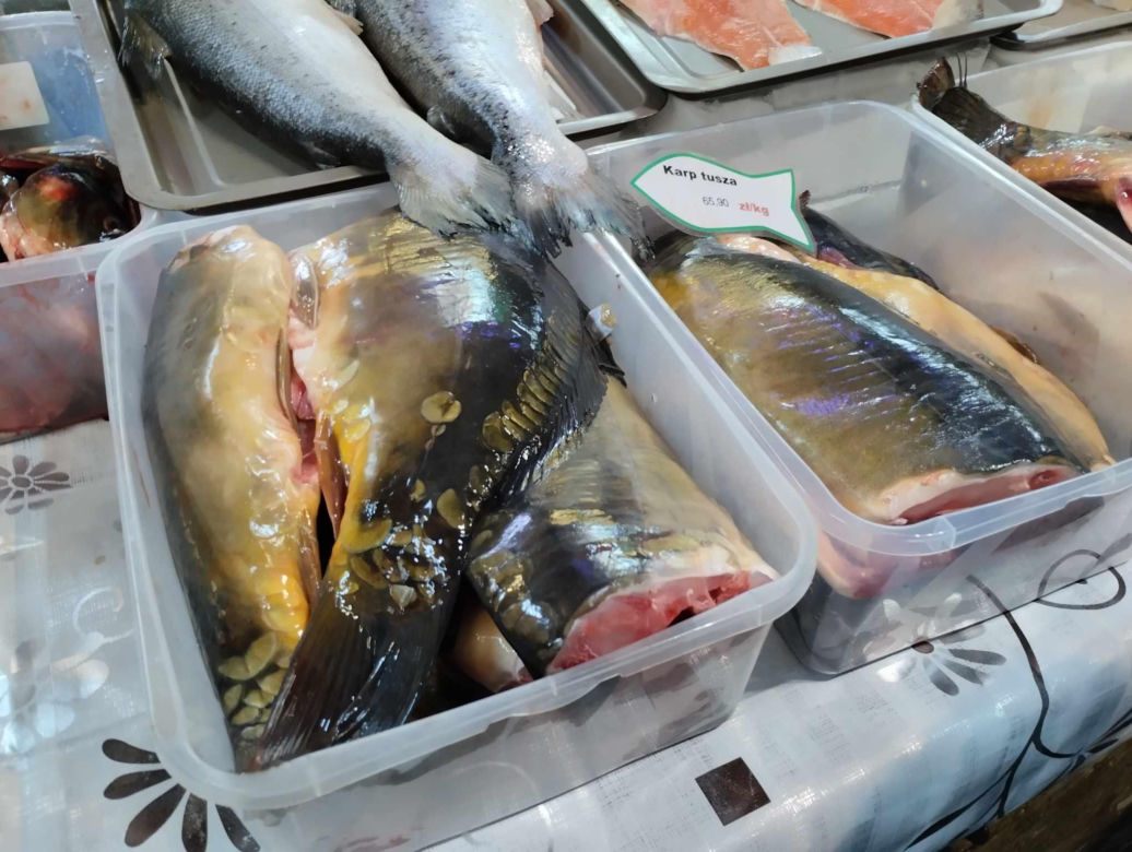 Ceny Karpia na bazarze Lotników i bazarze Wałbrzyska na Mokotowie