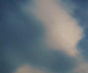 Wyszkoni ma drogie i niebezpieczne hobby! Szokujące wyznanie