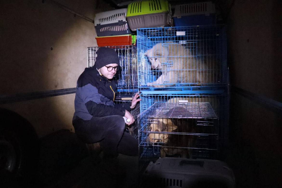 Od początku wojny ratowali prawie 600 zwierząt z Ukrainy