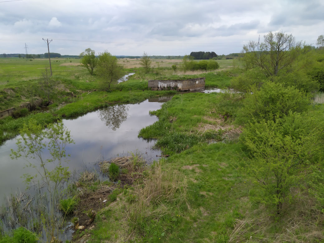 Sprzątanie mostu kolejowego nad rzeką Muchawką - 15.05.2021