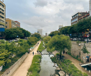 Cheonggyecheon w Seulu. Strumyk na sterydach, dzięki któremu w środku 10-milionowej metropolii można się poczuć jak na wsi