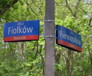 Myślisz, że znasz Warszawę na wylot? Oto najbardziej wiosenne ulice w stolicy! Tu wiosna trwa cały rok! 