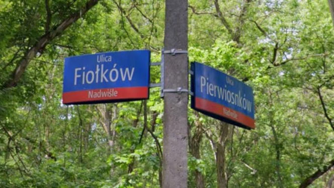 Myślisz, że znasz Warszawę na wylot? Oto najbardziej wiosenne ulice w stolicy! Tu wiosna trwa cały rok! 